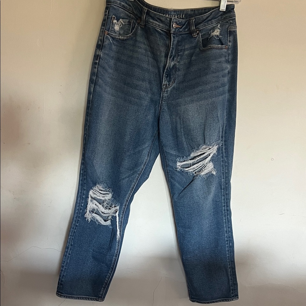 American Eagle Outfitters Classic Blue Denim Jeans